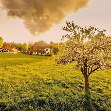 Biobauernhof Brandlhof Apartment รัมเซา อัม ดาคชไตน์ ภายนอก รูปภาพ