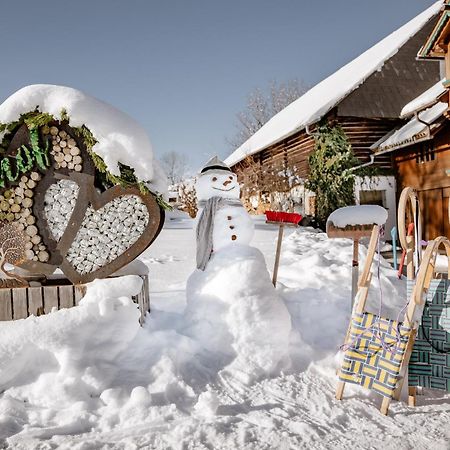 Biobauernhof Brandlhof Apartment รัมเซา อัม ดาคชไตน์ ภายนอก รูปภาพ