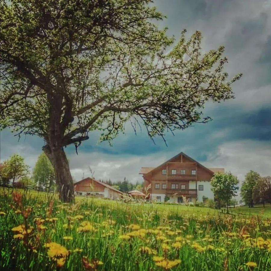 Biobauernhof Brandlhof Apartment รัมเซา อัม ดาคชไตน์ ภายนอก รูปภาพ