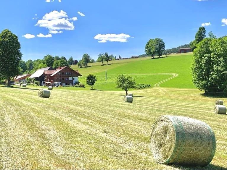 Biobauernhof Brandlhof Apartment รัมเซา อัม ดาคชไตน์ ภายนอก รูปภาพ
