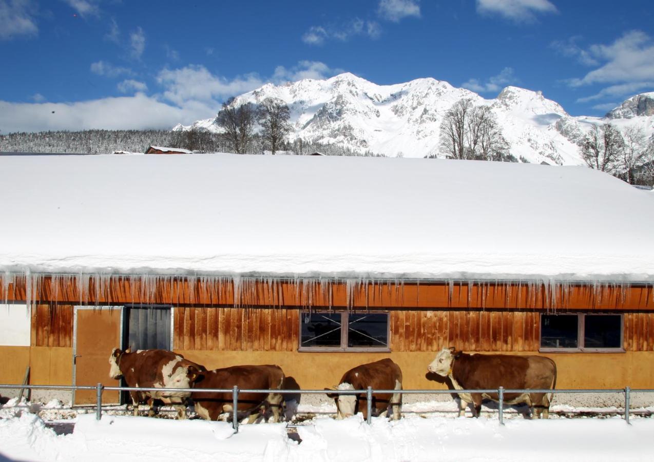 Biobauernhof Brandlhof Apartment รัมเซา อัม ดาคชไตน์ ภายนอก รูปภาพ