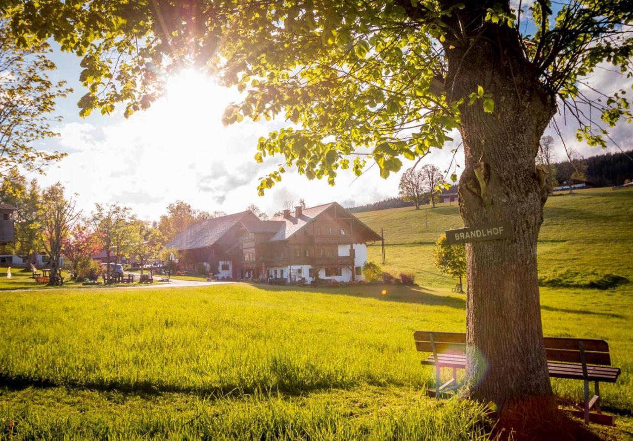 Biobauernhof Brandlhof Apartment รัมเซา อัม ดาคชไตน์ ภายนอก รูปภาพ