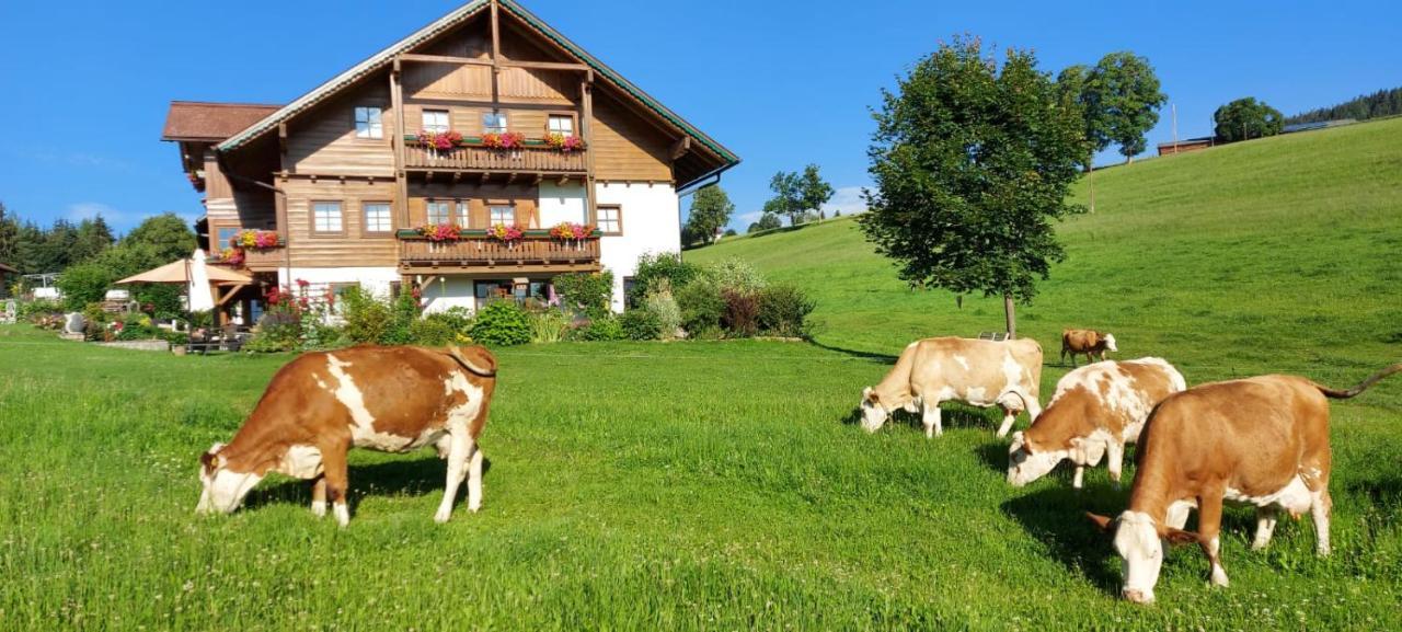 Biobauernhof Brandlhof Apartment รัมเซา อัม ดาคชไตน์ ภายนอก รูปภาพ