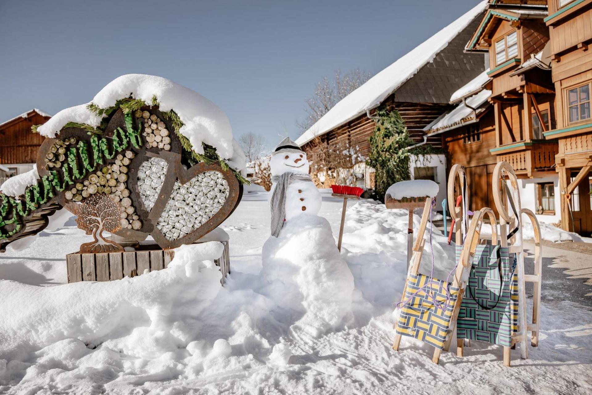 Biobauernhof Brandlhof Apartment รัมเซา อัม ดาคชไตน์ ภายนอก รูปภาพ