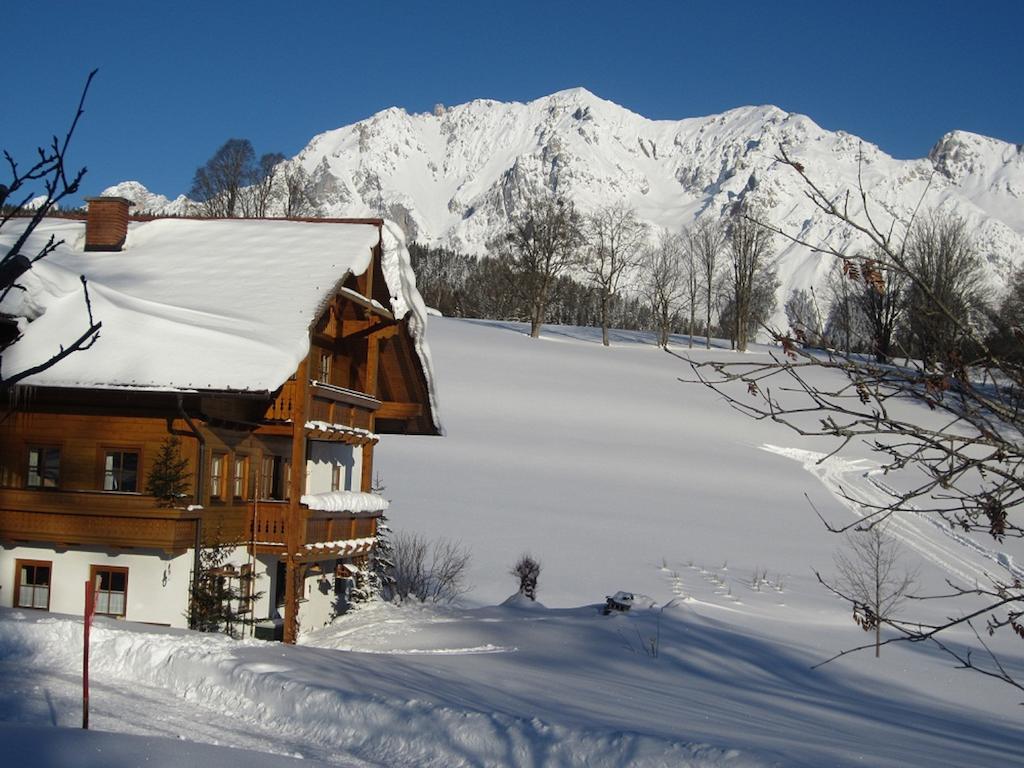 Biobauernhof Brandlhof Apartment รัมเซา อัม ดาคชไตน์ ภายนอก รูปภาพ