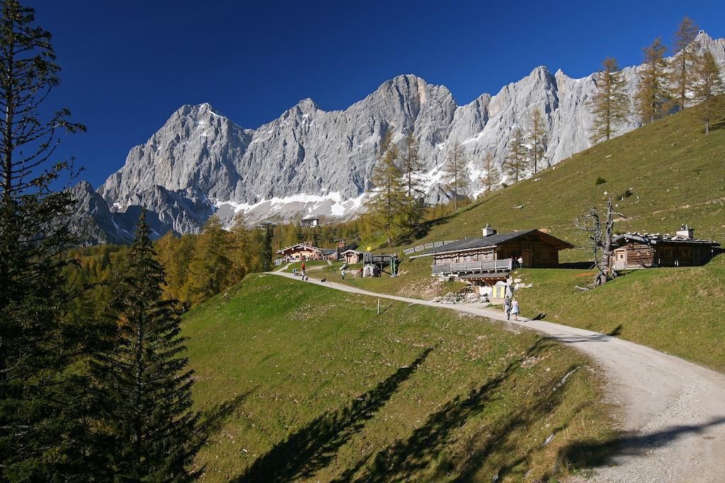 Biobauernhof Brandlhof Apartment รัมเซา อัม ดาคชไตน์ ภายนอก รูปภาพ