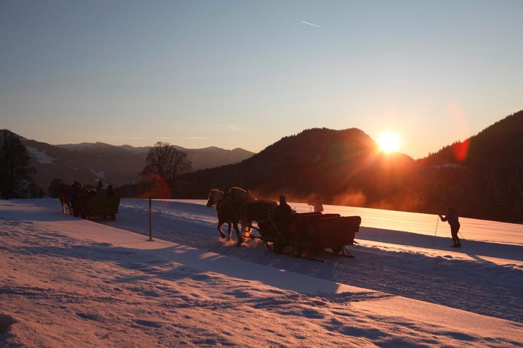 Biobauernhof Brandlhof Apartment รัมเซา อัม ดาคชไตน์ ภายนอก รูปภาพ